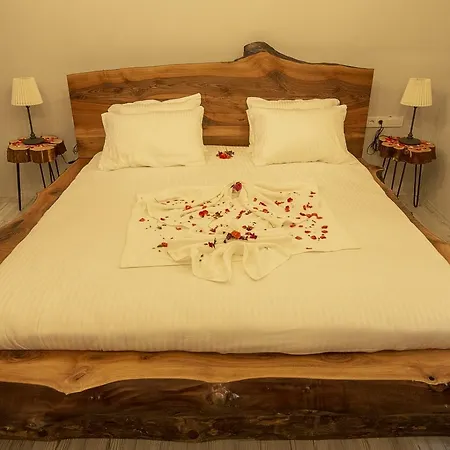 Iksirci Baba 5* 올루데니스