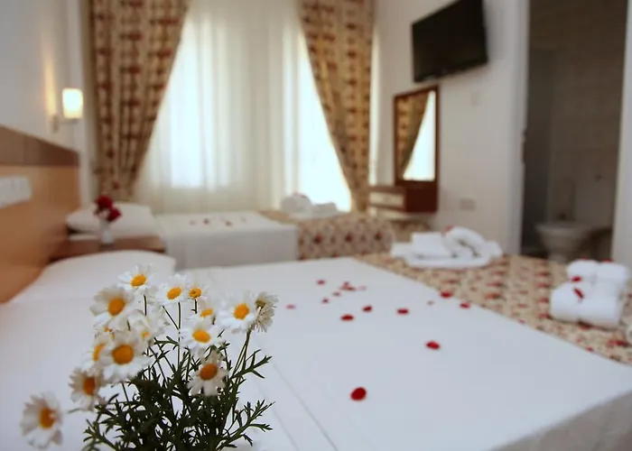 Iksirci Baba 5*