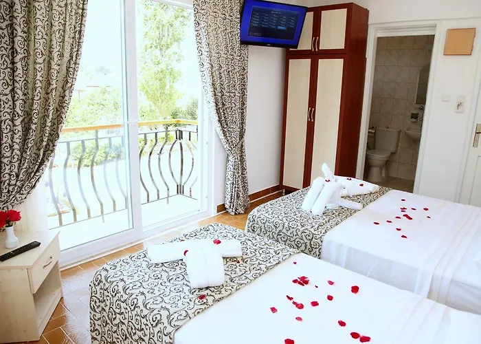 Iksirci Baba 5*