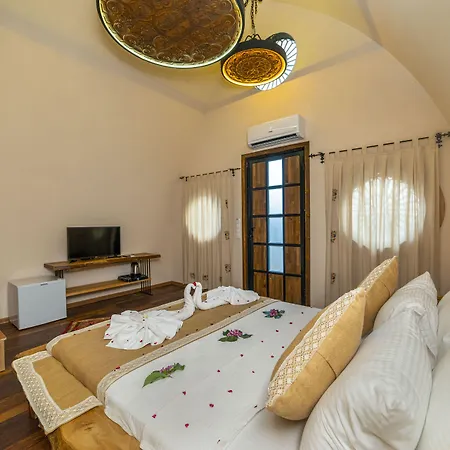 Iksirci Baba 5*
