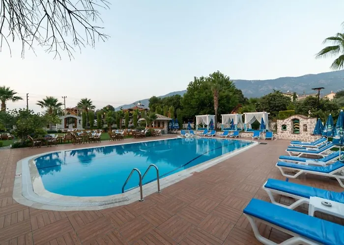 Iksirci Baba 5*