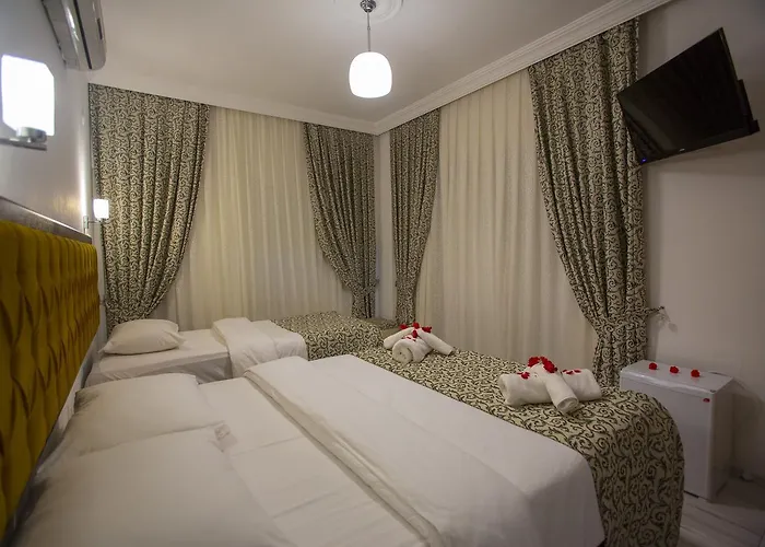 Iksirci Baba 올루데니스