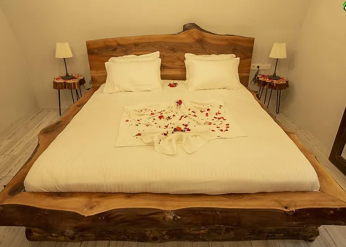 Iksirci Baba 5* 올루데니스